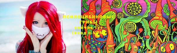 MESCALINE Медвежьегорск